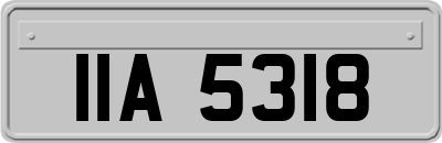 IIA5318