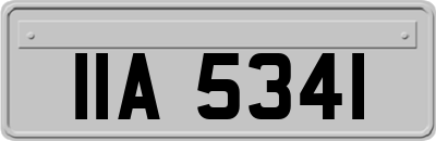 IIA5341