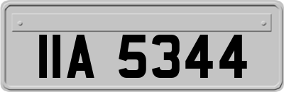IIA5344