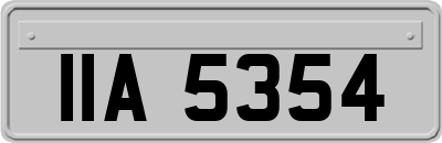 IIA5354