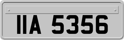 IIA5356