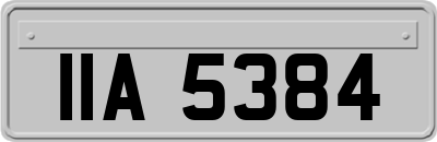 IIA5384