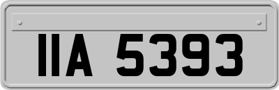 IIA5393
