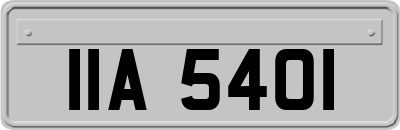IIA5401