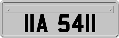 IIA5411