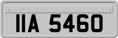 IIA5460