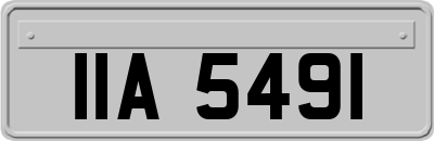 IIA5491