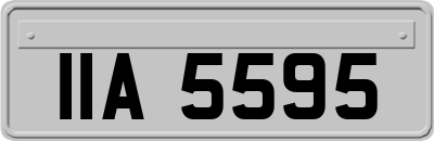 IIA5595