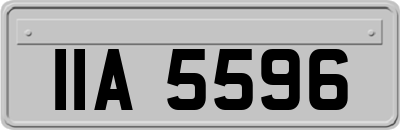 IIA5596