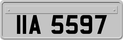 IIA5597