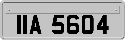 IIA5604