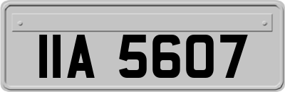 IIA5607