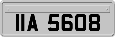 IIA5608