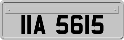 IIA5615