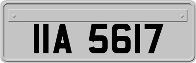 IIA5617