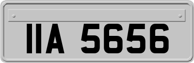 IIA5656
