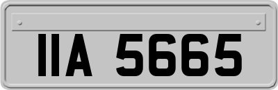 IIA5665