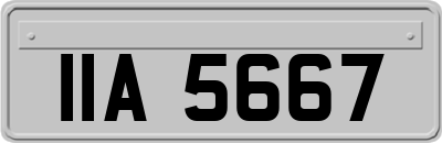 IIA5667