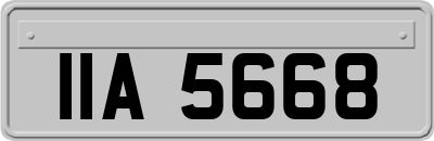 IIA5668