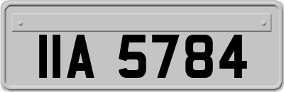 IIA5784