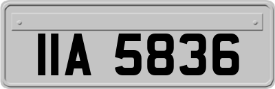 IIA5836