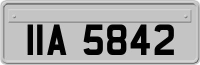 IIA5842