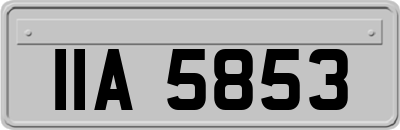 IIA5853