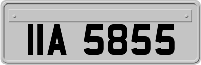 IIA5855