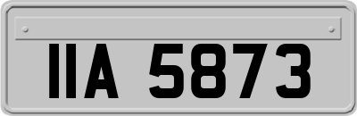 IIA5873