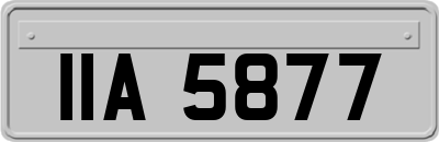 IIA5877