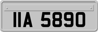 IIA5890