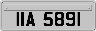 IIA5891