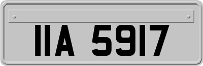 IIA5917
