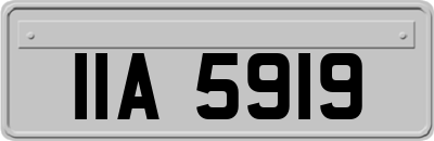 IIA5919