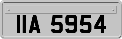 IIA5954
