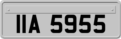IIA5955