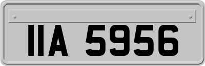 IIA5956