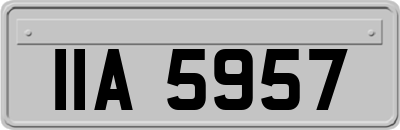 IIA5957