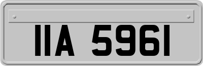IIA5961