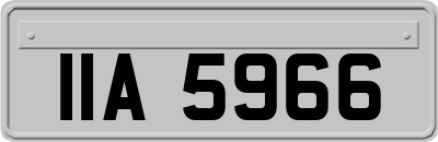 IIA5966
