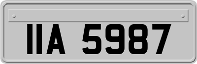 IIA5987