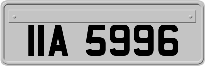 IIA5996