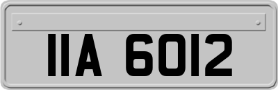IIA6012