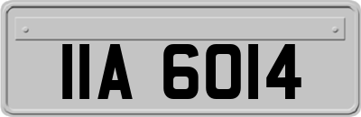 IIA6014
