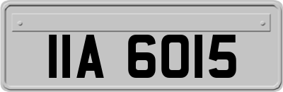 IIA6015