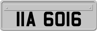 IIA6016