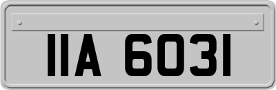 IIA6031