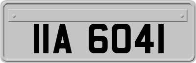 IIA6041