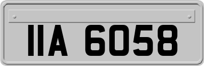 IIA6058