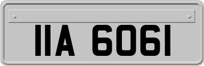 IIA6061